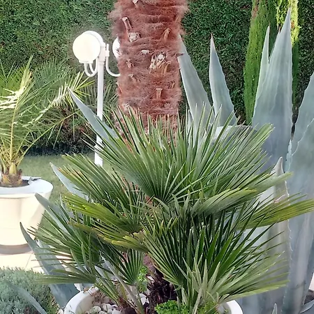 Pensionat Josepha 4*